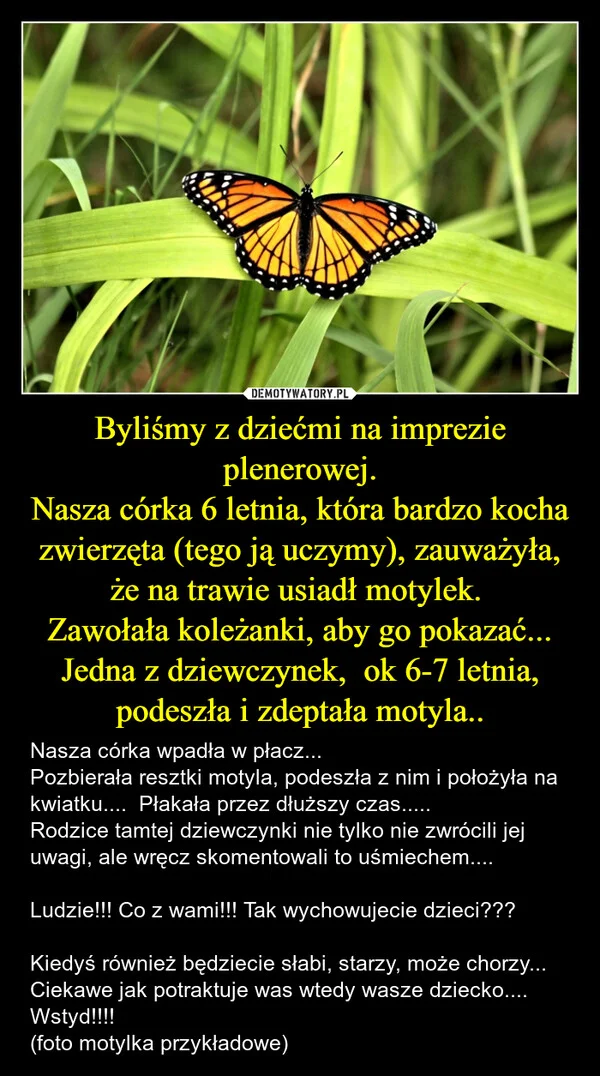 
    Byliśmy z dziećmi na imprezie plenerowej. Nasza córka 6 letnia, która bardzo kocha zwierzęta (tego ją uczymy), zauważyła, że na trawie usiadł motylek. Zawołała koleżanki, aby go pokazać... Jedna z dziewczynek, ok 6-7 letnia, podeszła i zdeptała motyla..