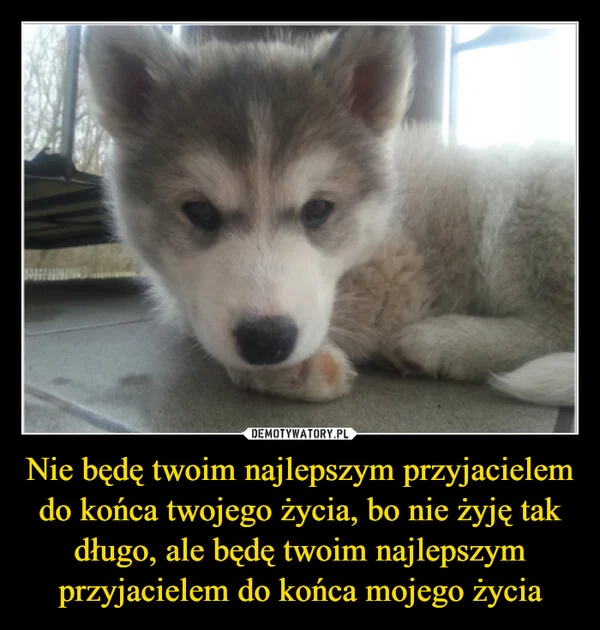Nie będę twoim najlepszym przyjacielem do końca twojego życia, bo nie żyję tak długo, ale będę twoim najlepszym przyjacielem do końca mojego życia