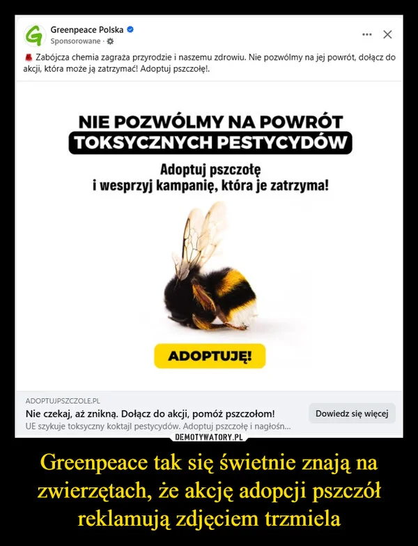 Greenpeace tak się świetnie znają na zwierzętach, że akcję adopcji pszczół reklamują zdjęciem trzmiela