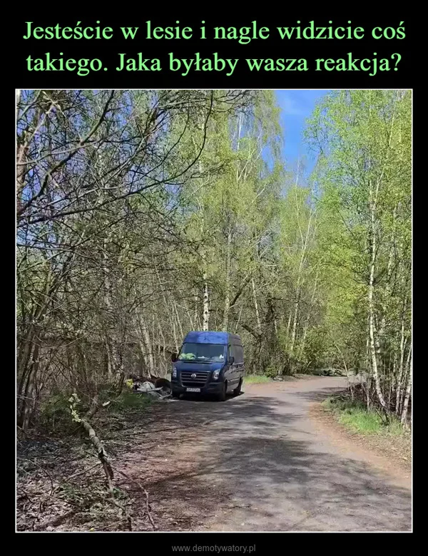 
    Jesteście w lesie i nagle widzicie coś takiego. Jaka byłaby wasza reakcja?