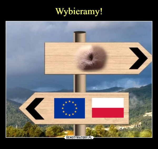 
    Wybieramy!