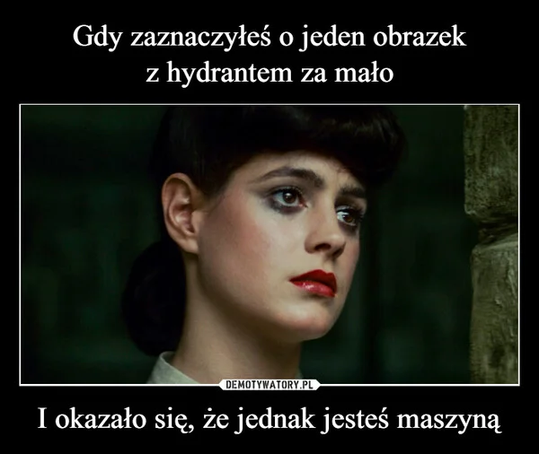 
    Gdy zaznaczyłeś o jeden obrazek z hydrantem za mało I okazało się, że jednak jesteś maszyną