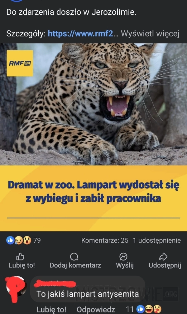 
    Lampart