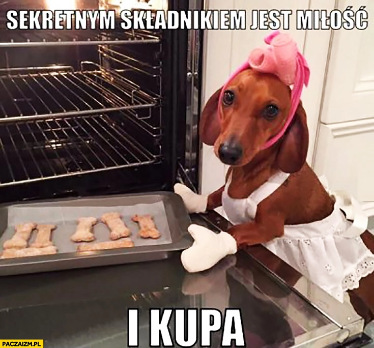 
    Sekretnym składnikiem ciasteczek jest miłość i kupa pies kucharz piekarz