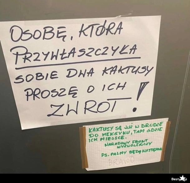 
    Kaktusy z klatki schodowej 