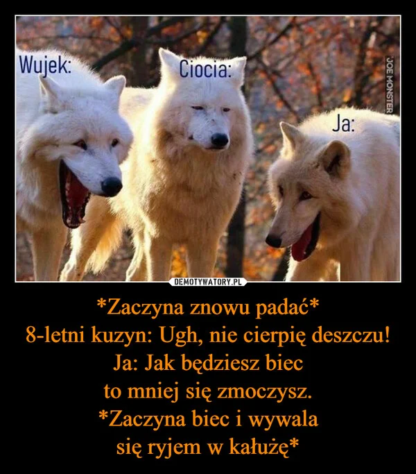 
    *Zaczyna znowu padać* 8-letni kuzyn: Ugh, nie cierpię deszczu! Ja: Jak będziesz biec to mniej się zmoczysz. *Zaczyna biec i wywala się ryjem w kałużę*