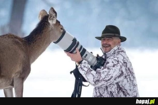 
    Fotografowanie przyrody takie jest