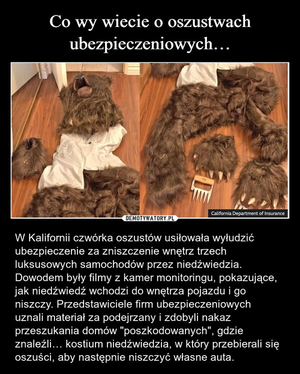 
    Co wy wiecie o oszustwach ubezpieczeniowych…