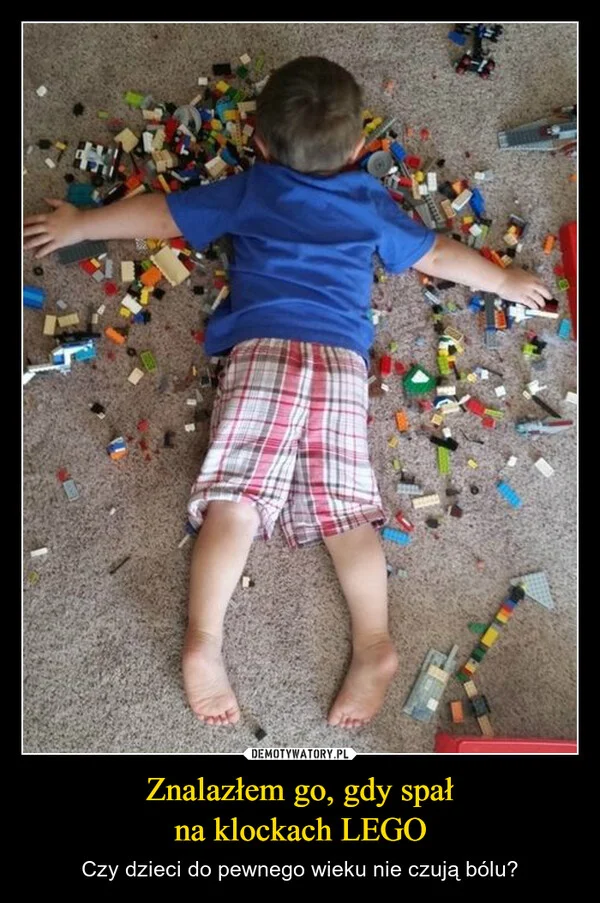 
    Znalazłem go, gdy spał na klockach LEGO
