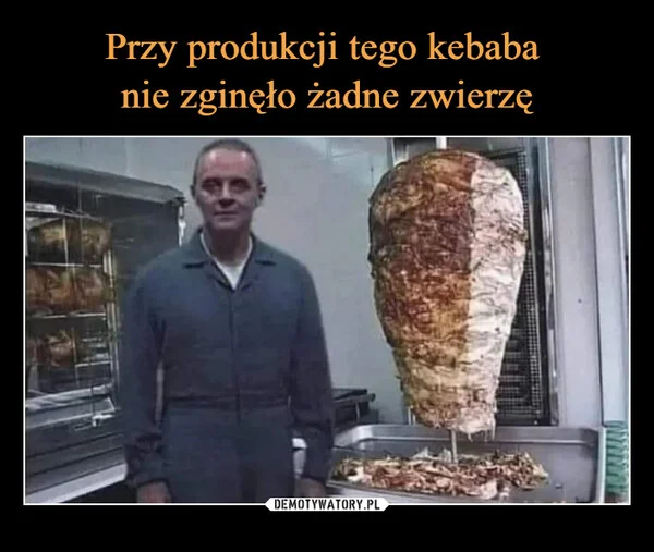 
    Przy produkcji tego kebaba nie zginęło żadne zwierzę