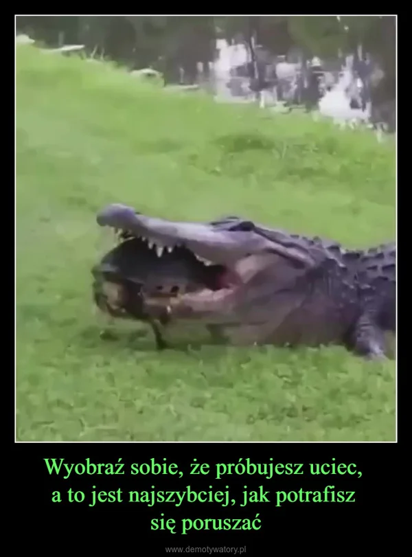 
    Wyobraź sobie, że próbujesz uciec, a to jest najszybciej, jak potrafisz się poruszać