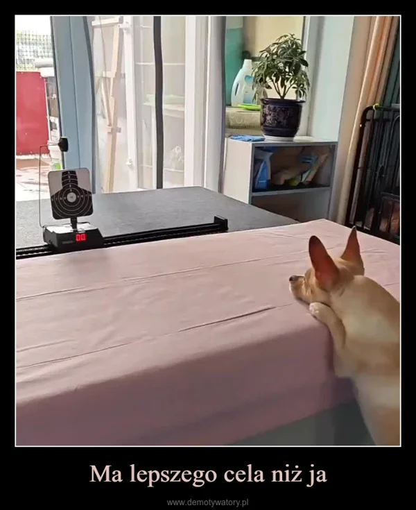 
    Ma lepszego cela niż ja