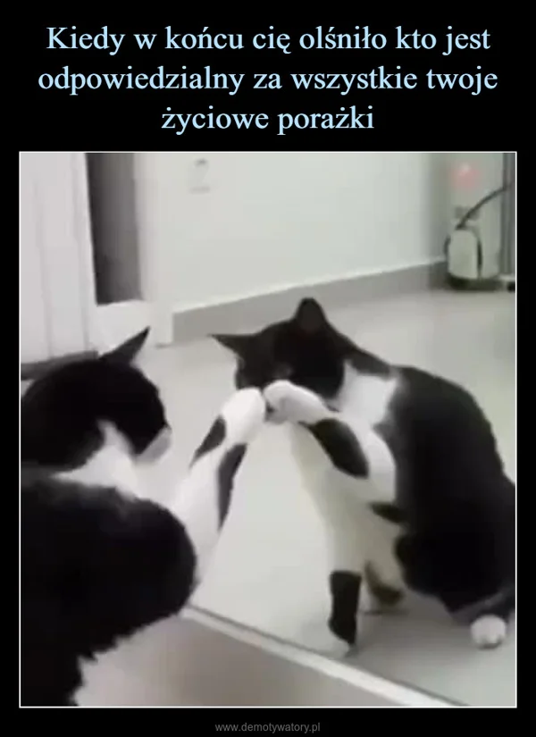 
    Kiedy w końcu cię olśniło kto jest odpowiedzialny za wszystkie twoje życiowe porażki