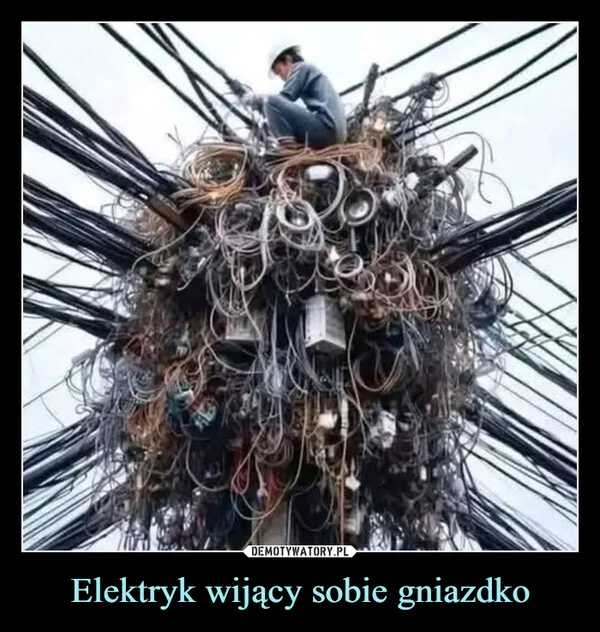 
    Elektryk wijący sobie gniazdko