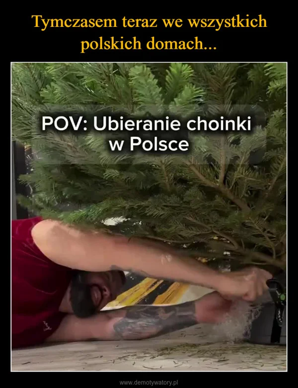 
    Tymczasem teraz we wszystkich polskich domach...