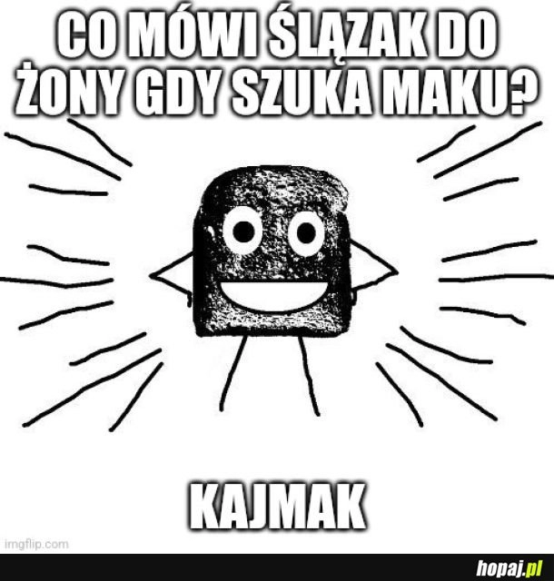 
    Makówki są pyszne