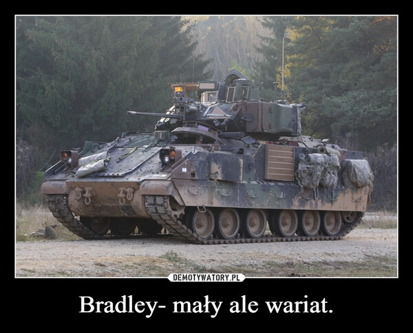 
    Bradley- mały ale wariat.