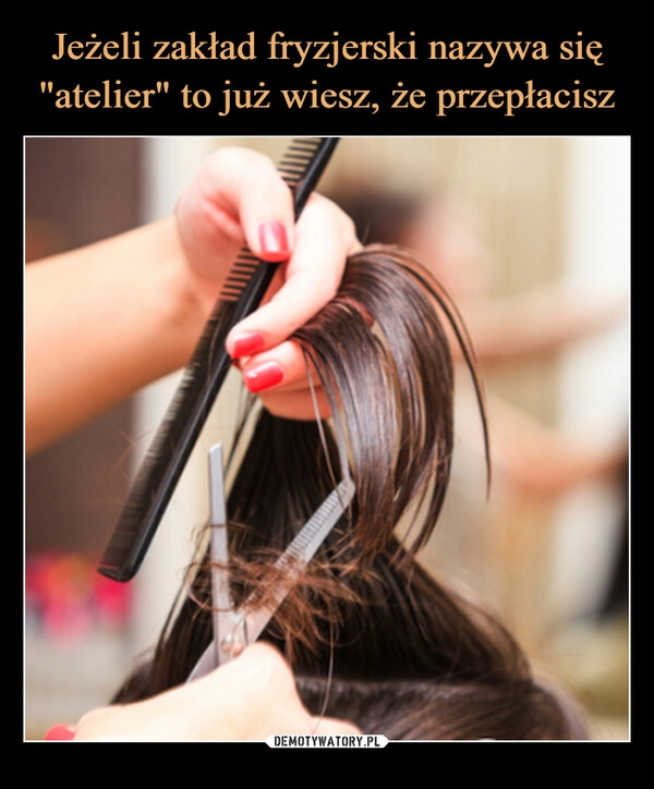 
    Jeżeli zakład fryzjerski nazywa się "atelier" to już wiesz, że przepłacisz