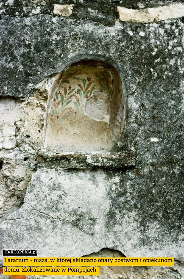 
    Lararium - nisza, w której składano ofiary bóstwom i opiekunom domu. Zlokalizowane