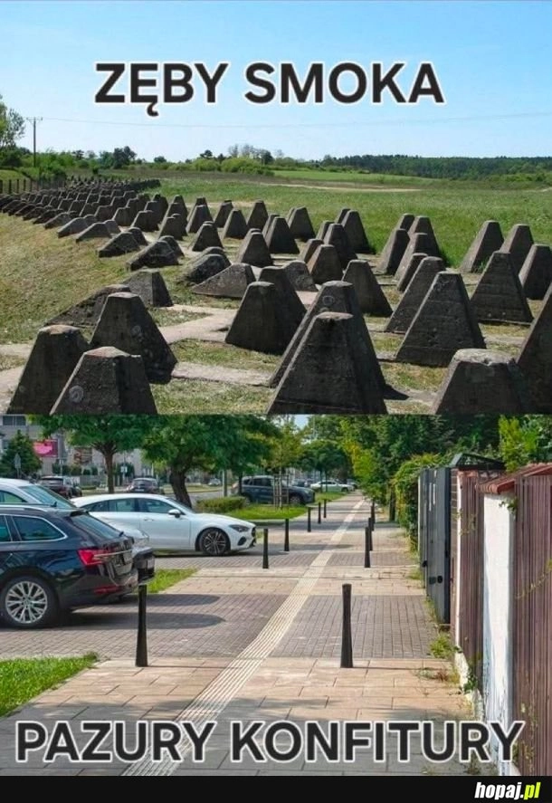 
    Fachowa nomenklatura