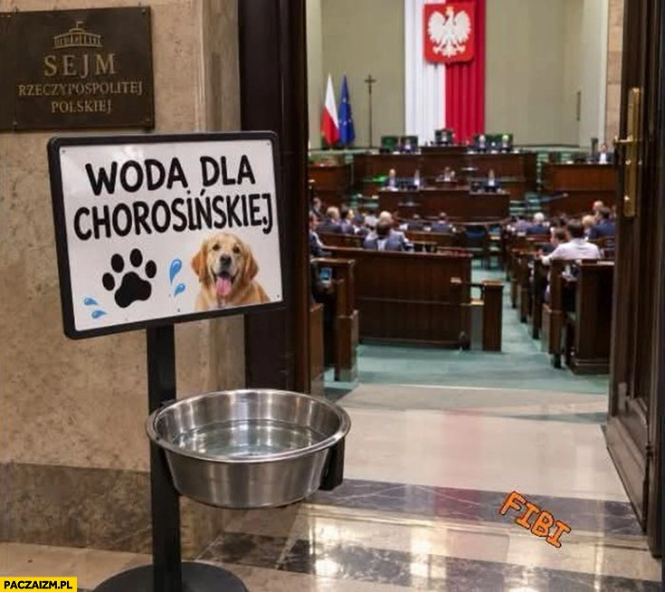 Sejm przed wejściem na salę woda dla Chorosińskiej dla psa