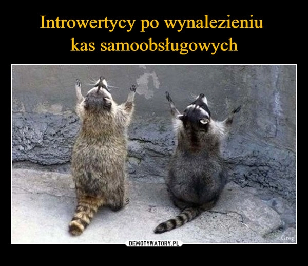 
    Introwertycy po wynalezieniu 
kas samoobsługowych