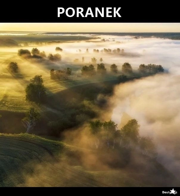 
    Poranek 