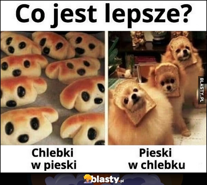 
    Co jest lepsze? Chlebki w pieski czy pieski w chlebku?