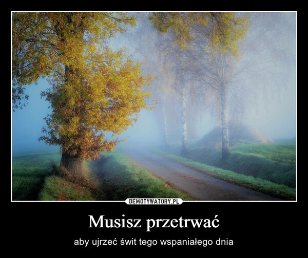 
    Musisz przetrwać