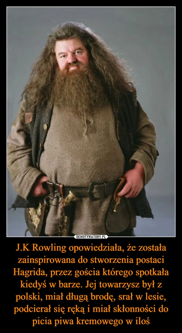 
    
J.K Rowling opowiedziała, że została zainspirowana do stworzenia postaci Hagrida, przez gościa którego spotkała kiedyś w barze. Jej towarzysz był z polski, miał długą brodę, srał w lesie, podcierał się ręką i miał skłonności do picia piwa kremowego w iloś 