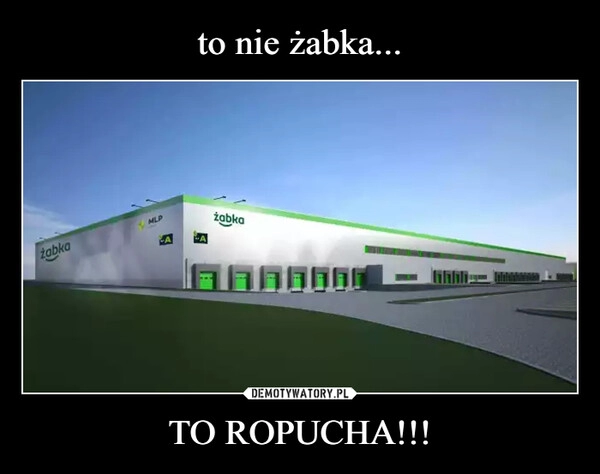 
    to nie żabka... TO ROPUCHA!!!