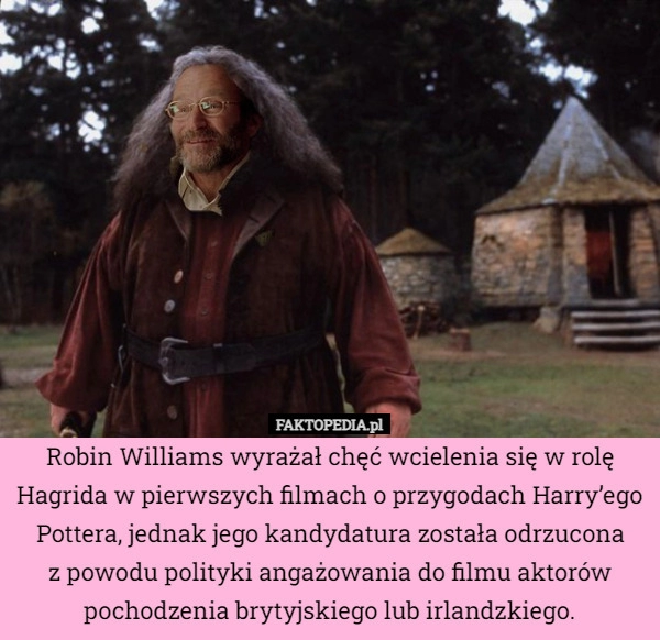 
    Robin Williams wyrażał chęć wcielenia się w rolę Hagrida w pierwszych filmach