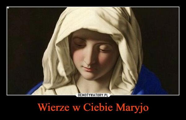 
    Wierze w Ciebie Maryjo 