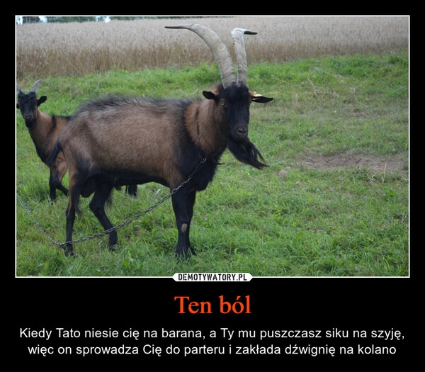 
    Ten ból 