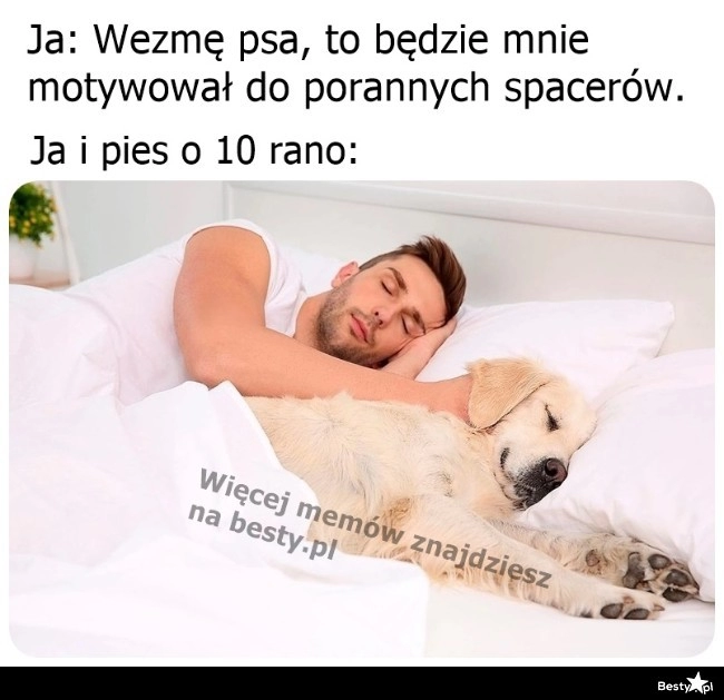 
    Jednak nie zmotywował 