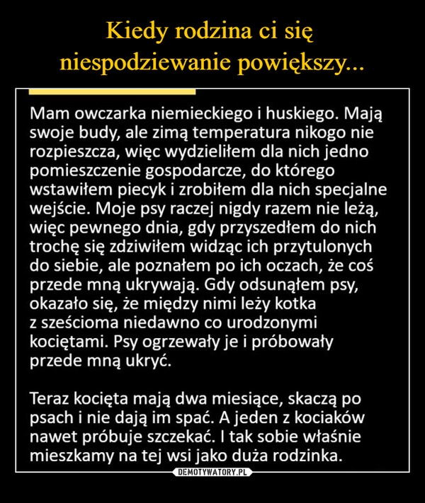 
    Kiedy rodzina ci się 
niespodziewanie powiększy...