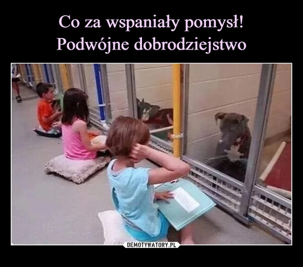 
    Co za wspaniały pomysł!
Podwójne dobrodziejstwo