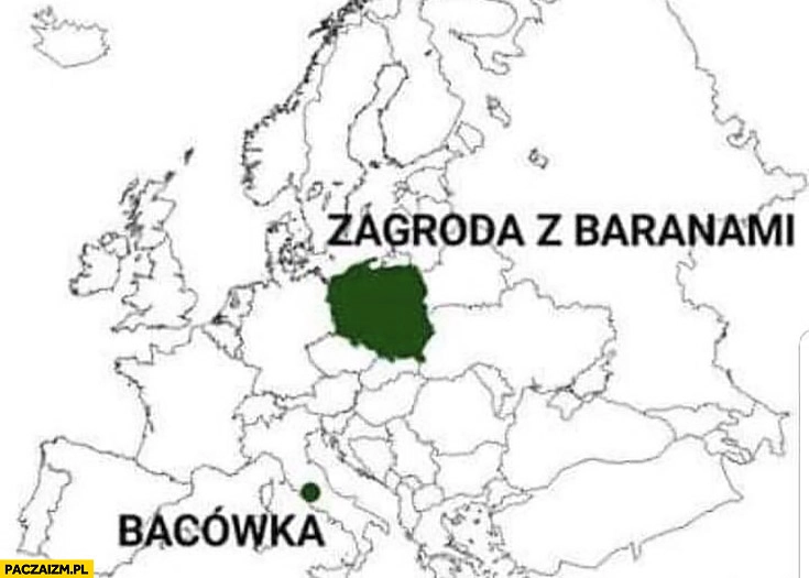 
    Polska zagroda z baranami Watykan bacówka