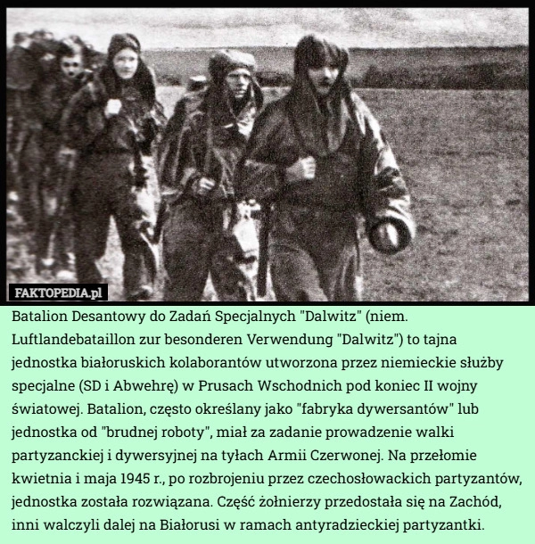 
    Batalion Desantowy do Zadań Specjalnych "Dalwitz" (niem. Luftlandebataillon