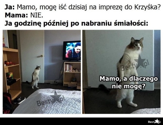 
    Czas na drugie podejście 