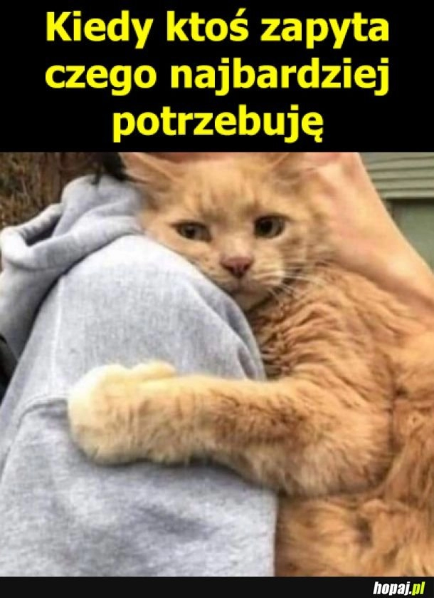 
    Czego potrzebuję