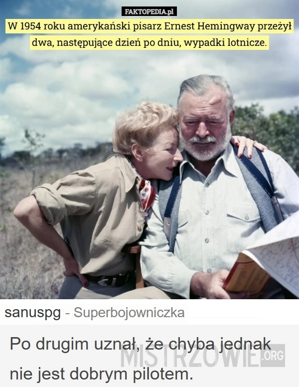 
    Pisarz