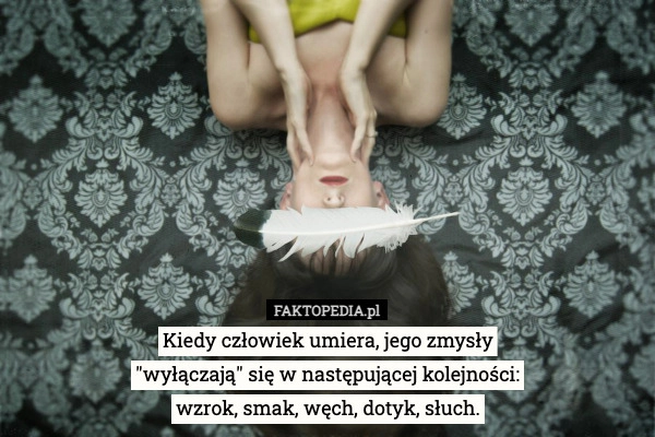 
    Kiedy człowiek umiera, jego zmysły
"wyłączają" się w następującej