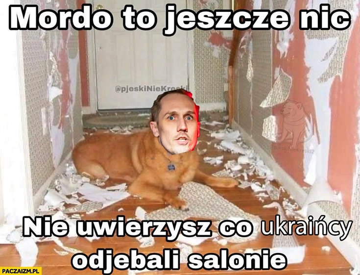 
    Berkowicz pies rozwalił mieszkanie mordo to jeszcze nic, nie uwierzysz co Ukraińcy odwalili w salonie