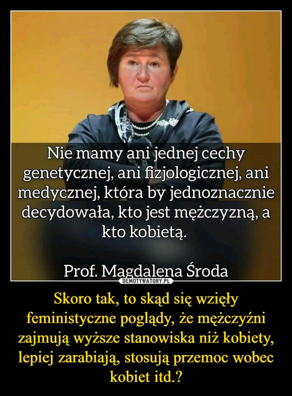 
    Skoro tak, to skąd się wzięły feministyczne poglądy, że mężczyźni zajmują wyższe stanowiska niż kobiety, lepiej zarabiają, stosują przemoc wobec kobiet itd.?