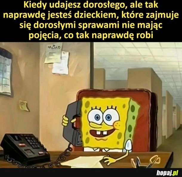 
    Dorosłość be like