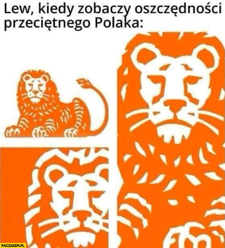 
    Lew ING kiedy zobaczy oszczędności przeciętnego Polaka smutny