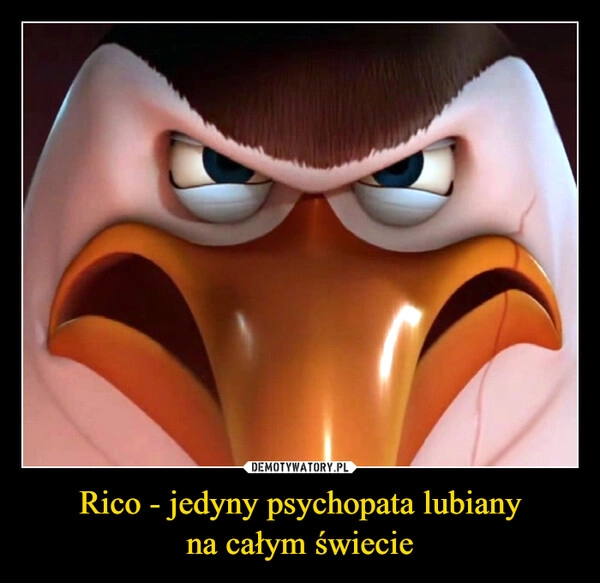 
    Rico - jedyny psychopata lubiany
na całym świecie