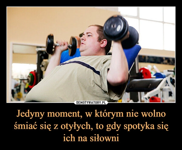 
    Jedyny moment, w którym nie wolno śmiać się z otyłych, to gdy spotyka się ich na siłowni