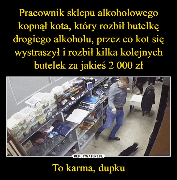 
    Pracownik sklepu alkoholowego kopnął kota, który rozbił butelkę drogiego alkoholu, przez co kot się wystraszył i rozbił kilka kolejnych butelek za jakieś 2 000 zł To karma, dupku